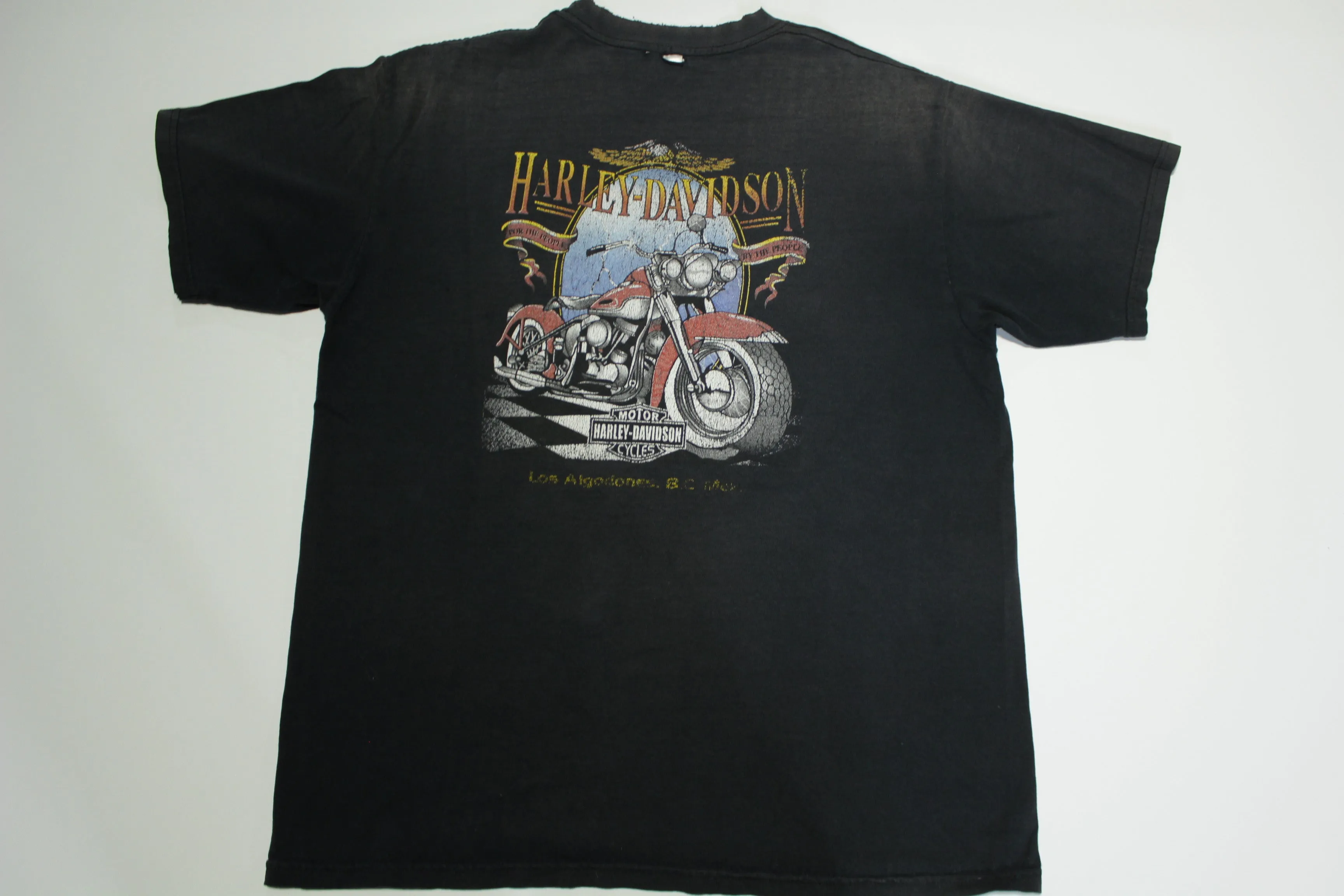 Harley Davidson Y2K Los Algodones BC Mexico Distressed HD Motorcycle T-Shirt