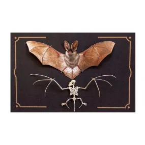 Nocturne Bat & Bat Skeleton by Moth & Myth