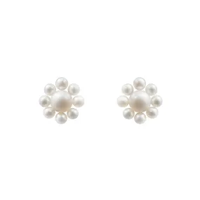 Sophie Bille Brahe - Margherita - Stud Earrings with Pearls, Yellow Gold